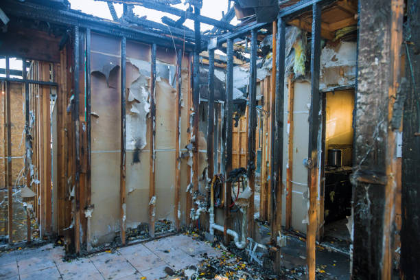 Professional Fire Damage Assessment technician working in Middleburg, FL